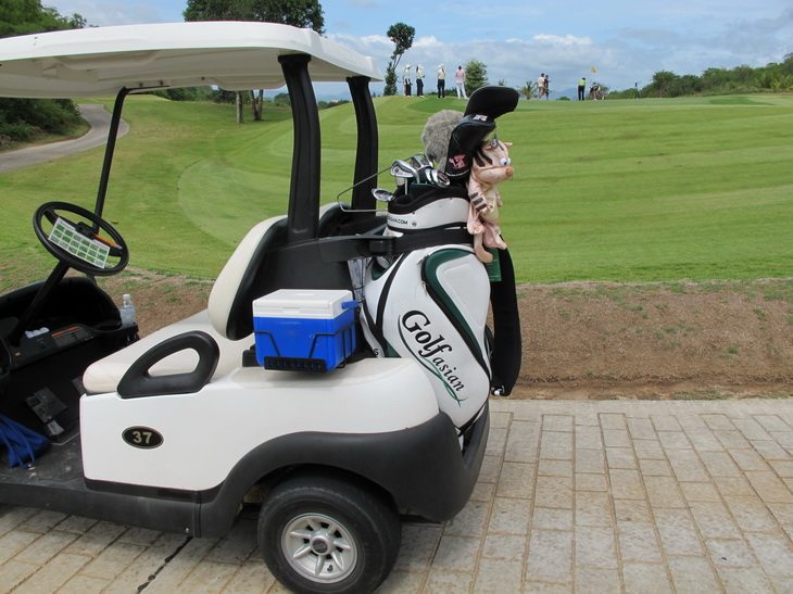 Golf Asian Golf Cart